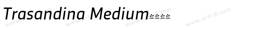 Trasandina Medium字体转换